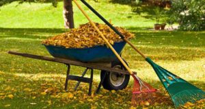 Landscaping clean up task